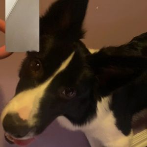 Meet your Posher, Areli